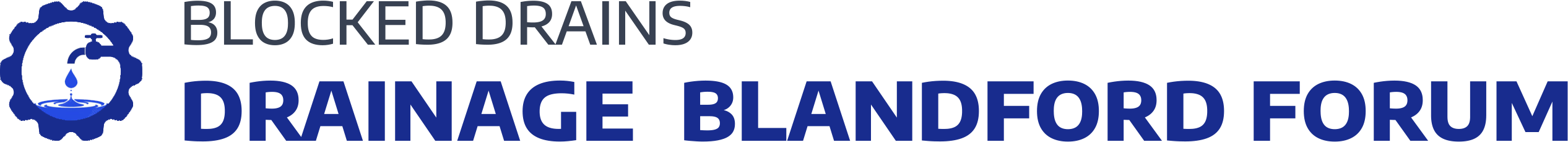 website logo